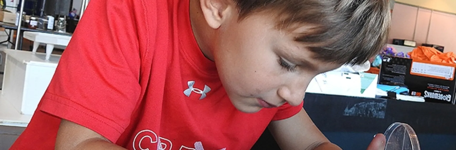 Brandon DeGroot,6, examines the bug he just collected outside McCormack Hall, Solano County Fairgrounds. (Photo by Kathy Keatley Garvey)