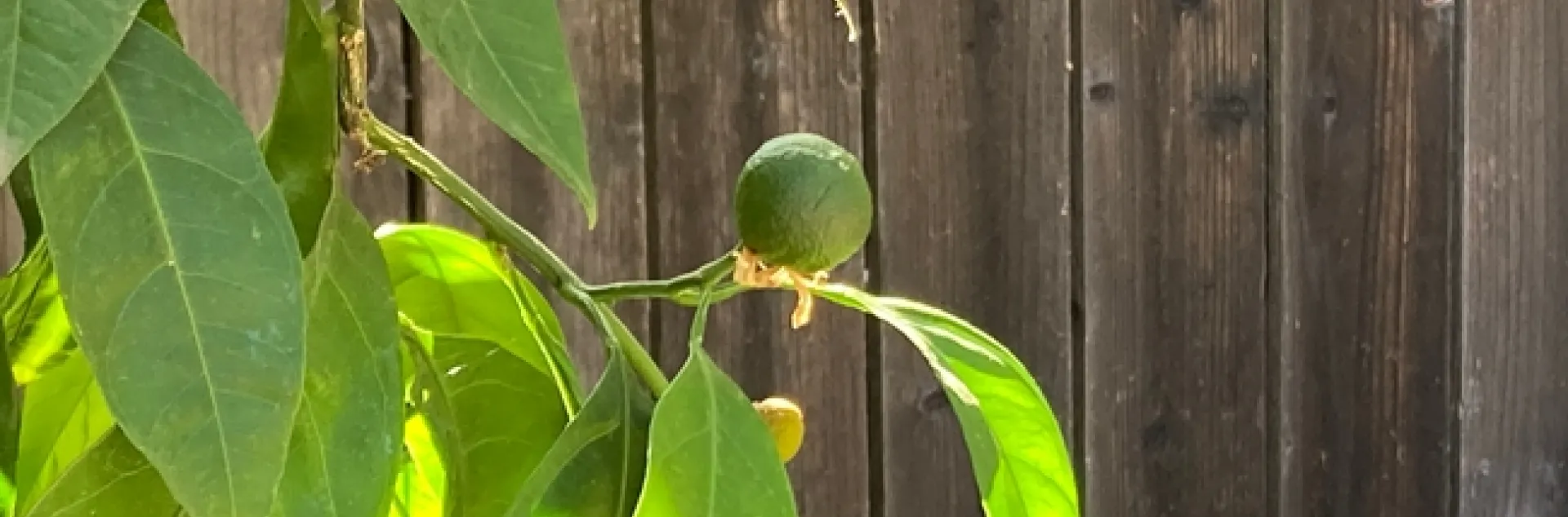 photos by Michelle Davis