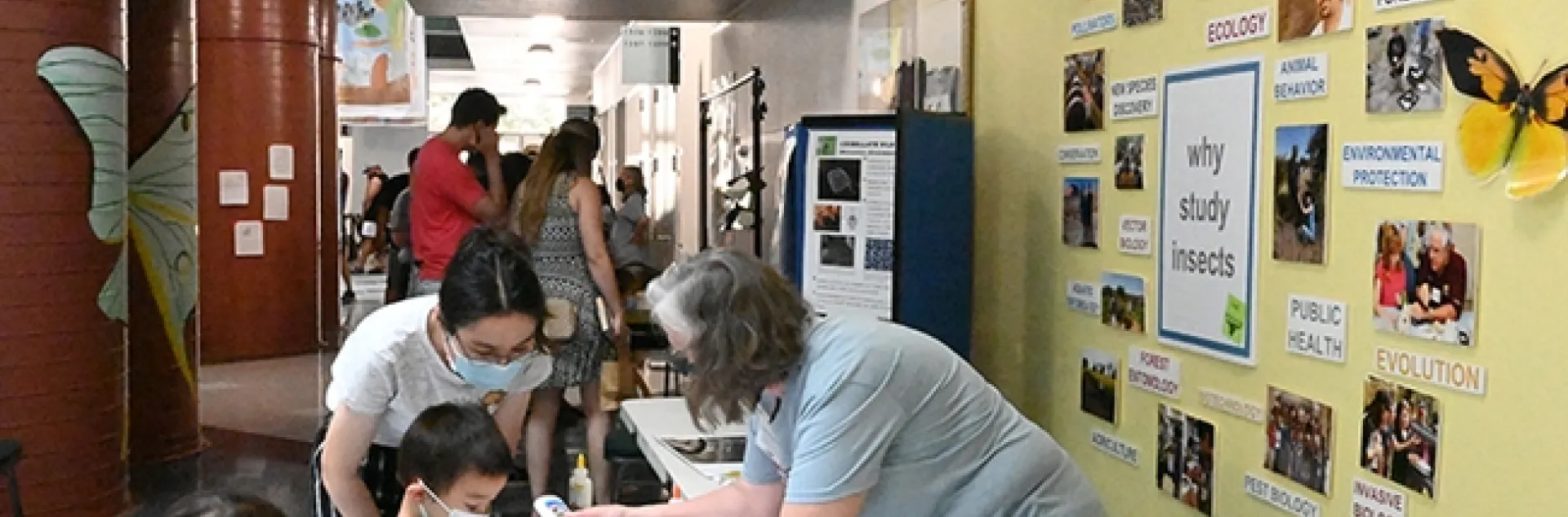 Entomologist Fran Keller, a professor at Folsom Lake College, demonstrates sticky and non-sticky spider silk with participants at the June 25th open house in the UC Davis Academic Surge Building. (Photo by Kathy Keatley Garvey)