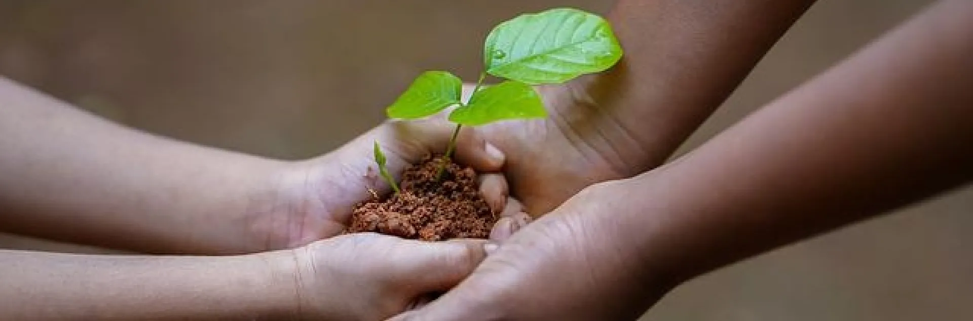 hands-g29a2f49bc 640