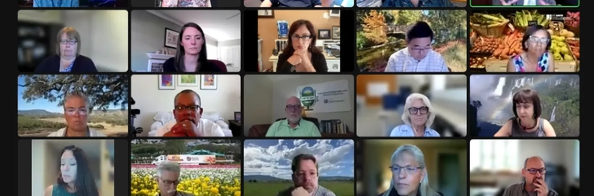 A Zoom gallery of faces.