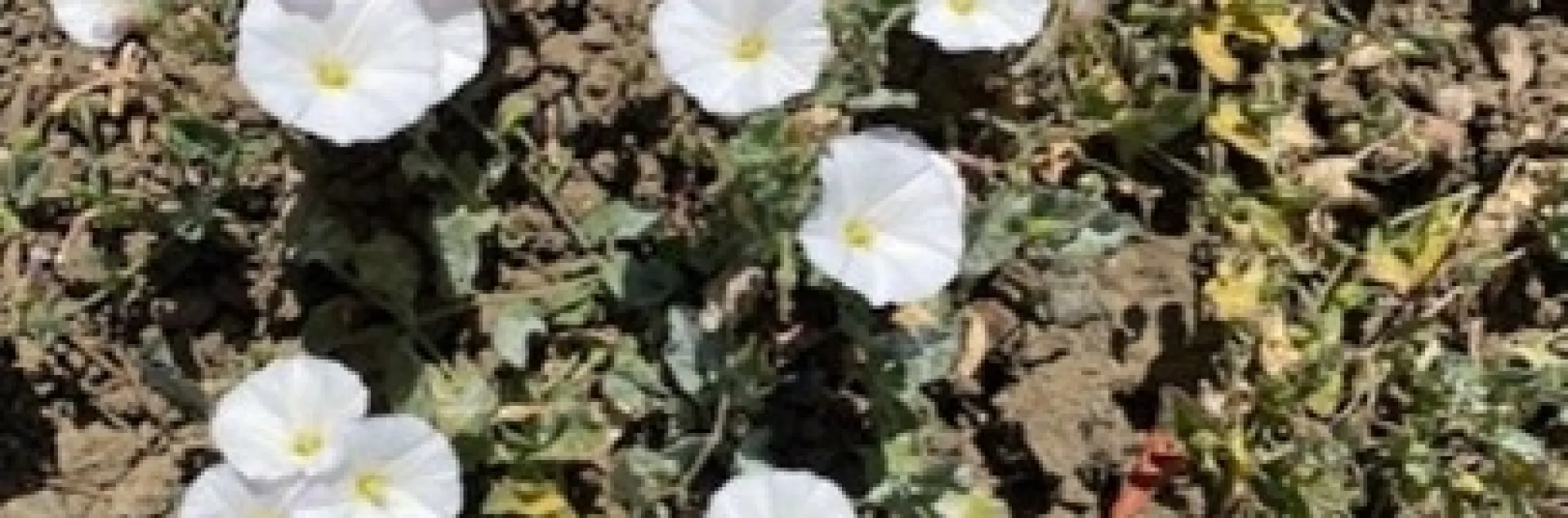 photos by Sherry Richards