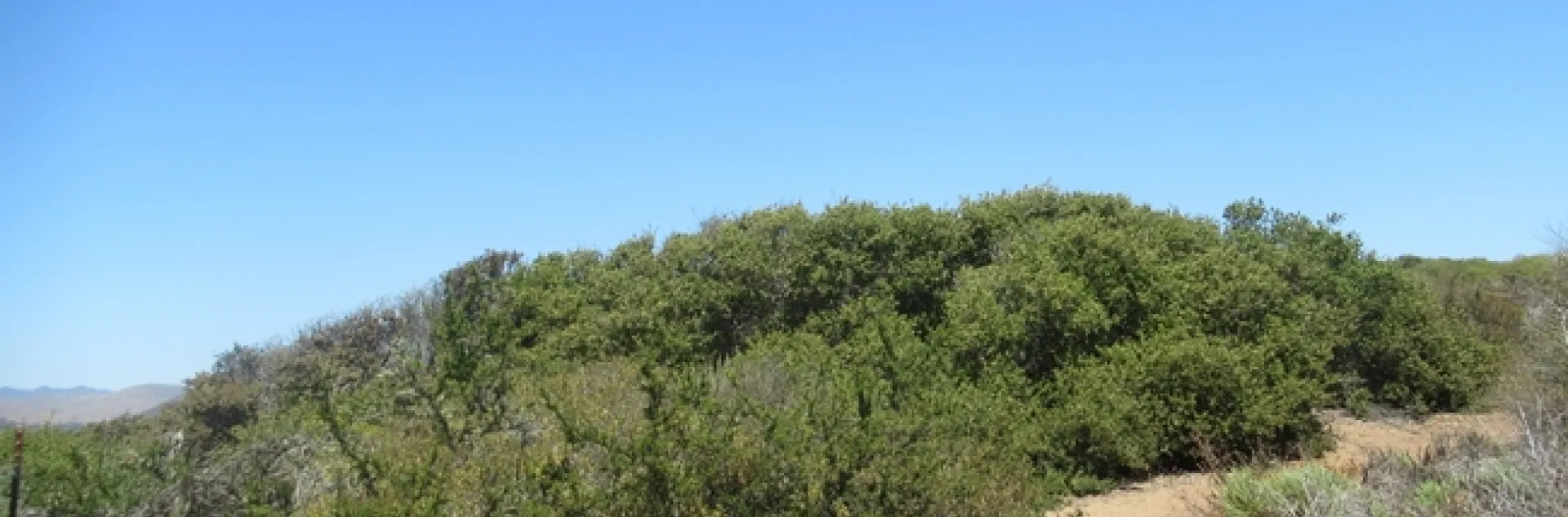 photos by Lanie Keystone