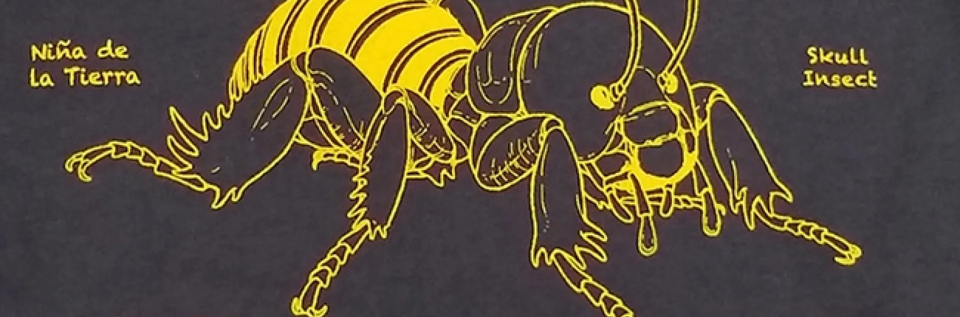 This is the Jerusalem cricket t-shirt by artist Allen Chew, a UC Davis student and Bohart volunteer, and designer Fran Keller, professor at Folsom Lake College. Keller, a Bohart Museum scientist, is a UC Davis doctoral alumnus.