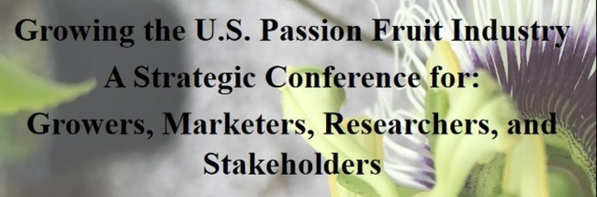 Passion Fruit proceedings