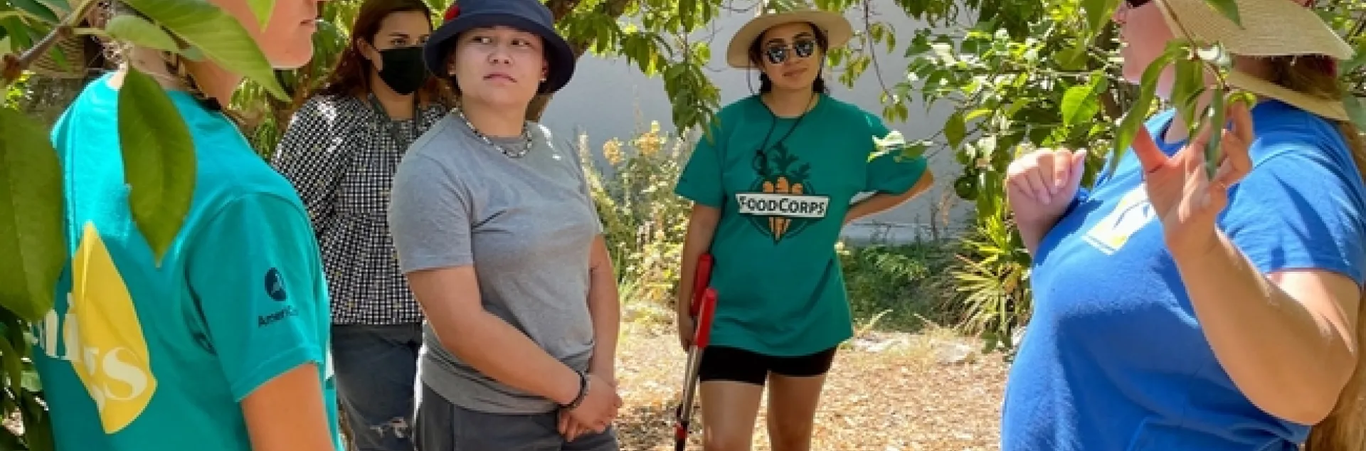 FoodCorps tree pruning workshop