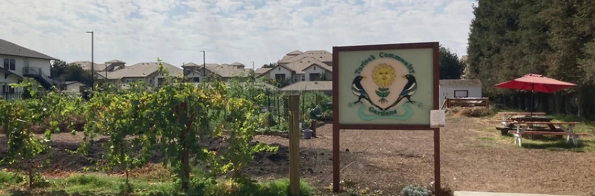 Photo of the entrance into Turlock Community Gardens.
