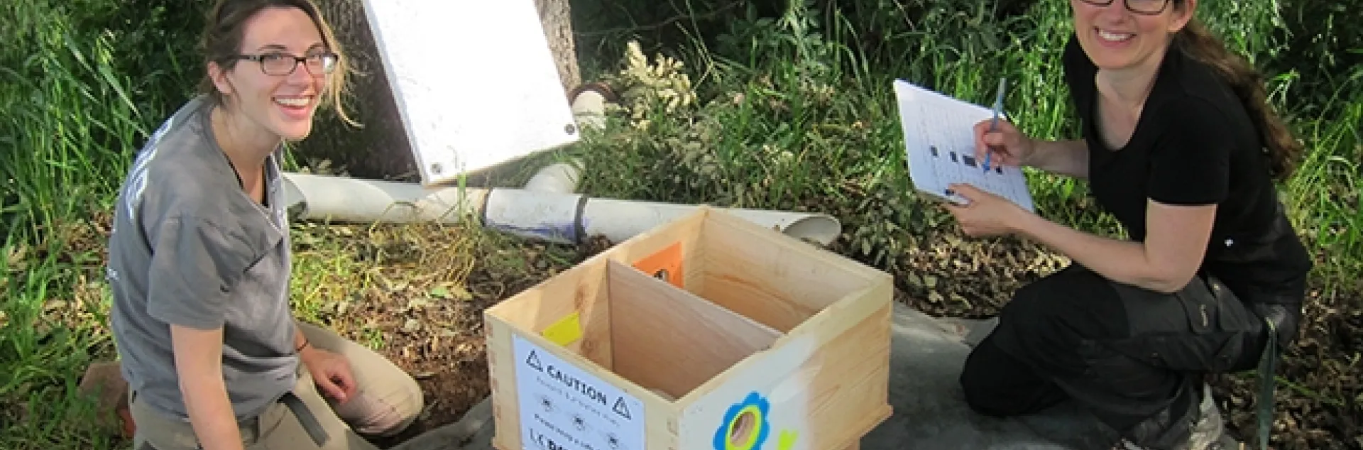 Maj Rundlöf (right), a co-lead author of the research paper, and co-author Rosemary Malfi collect data at a bumble bee colony. (Photo courtesy of the Neal Williams lab)