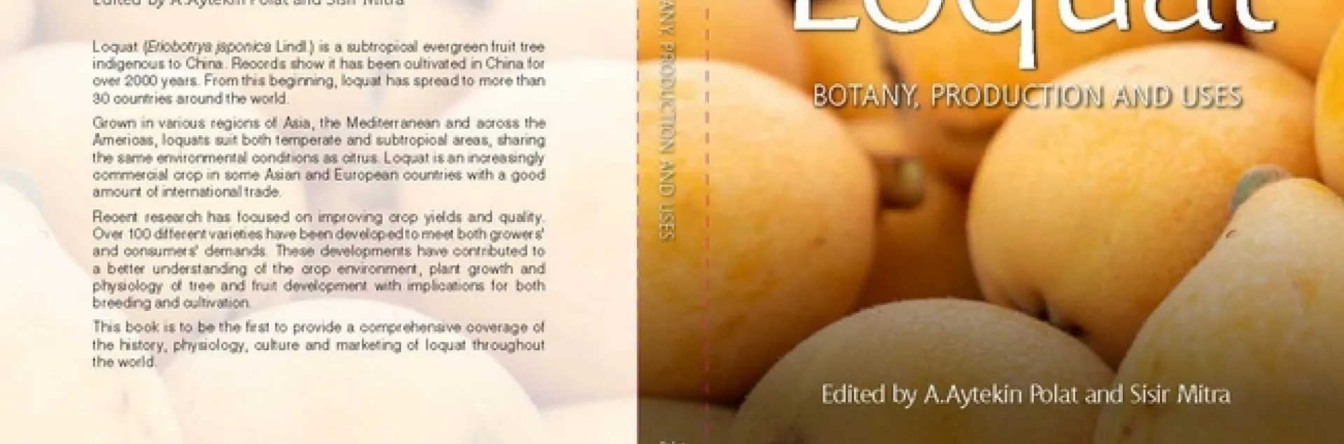 loquat book