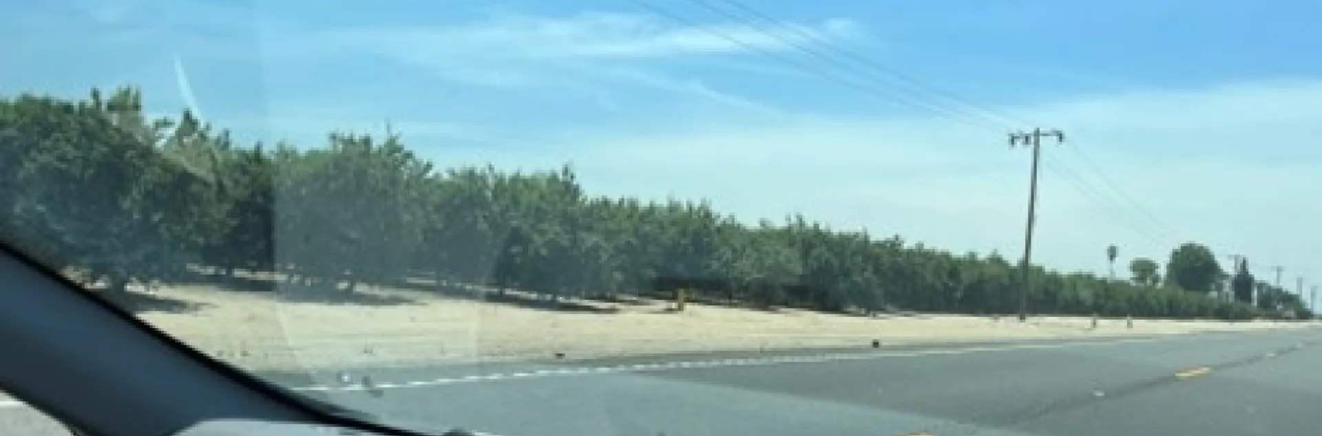 photo by Tina Saravia