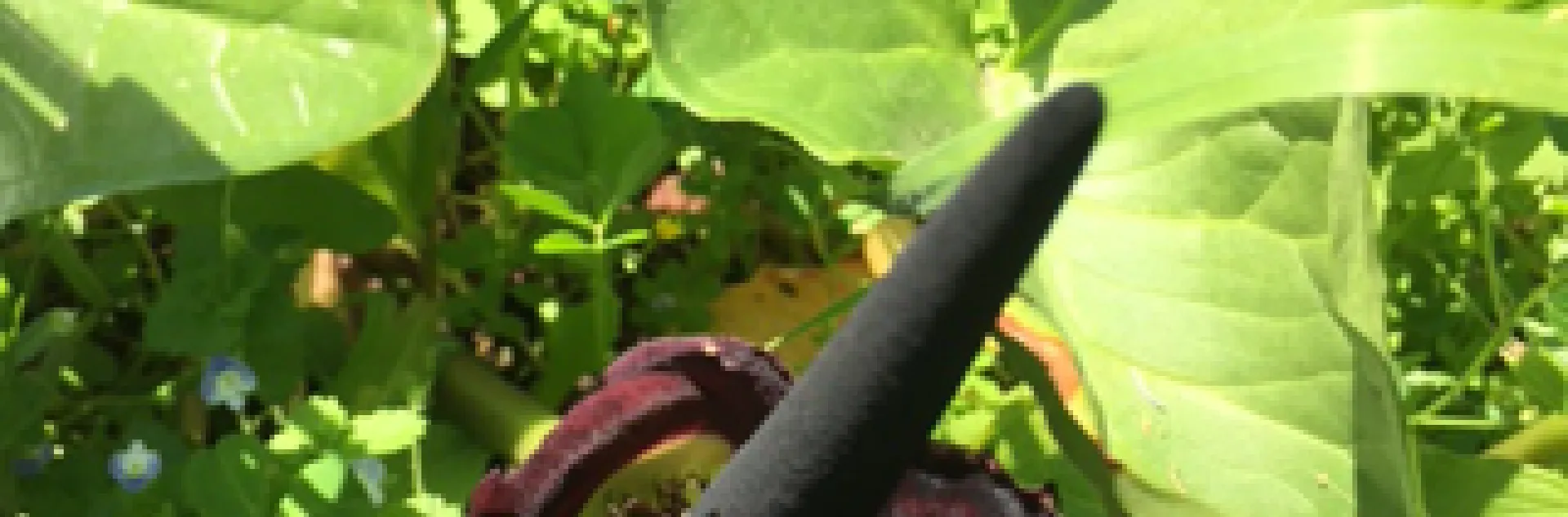 photos by Heather Hamilton