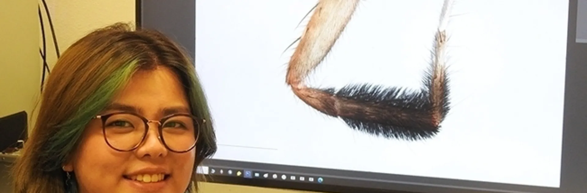 Megan Ma of the Jason Bond lab is a researcher and a scientific illustrator. (Photo by Kathy Keatley Garvey)