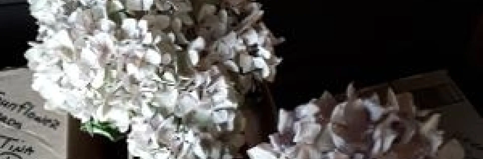 Dried flowers and plants to decorate your wreath. photos by Betty Victor