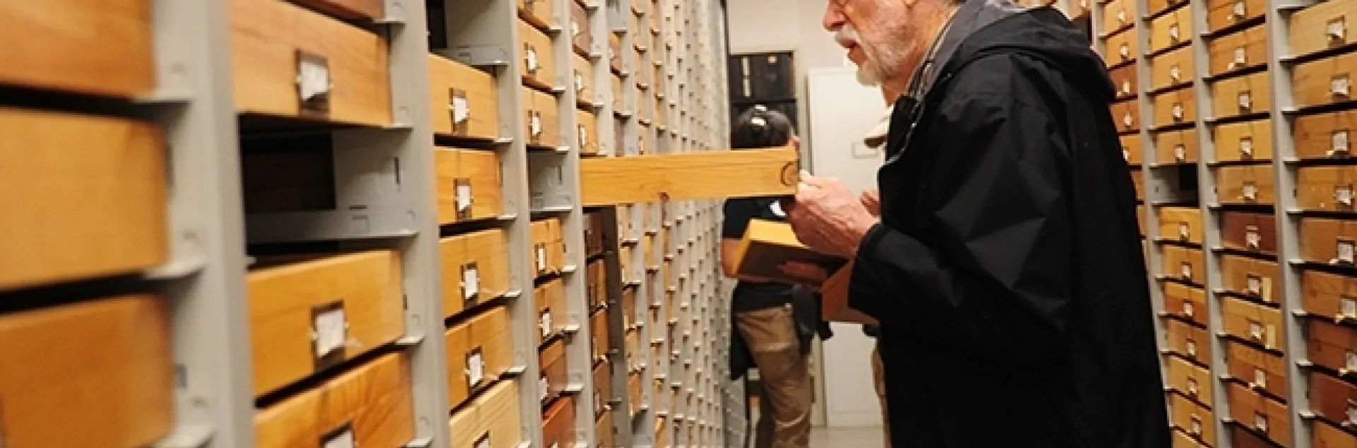 Entomologist and butterfly collector Bill Patterson looks through a drawer during the international Lepidopterists' Society meeting in 2017 at UC Davis. (Photo by Kathy Keatley Garvey)