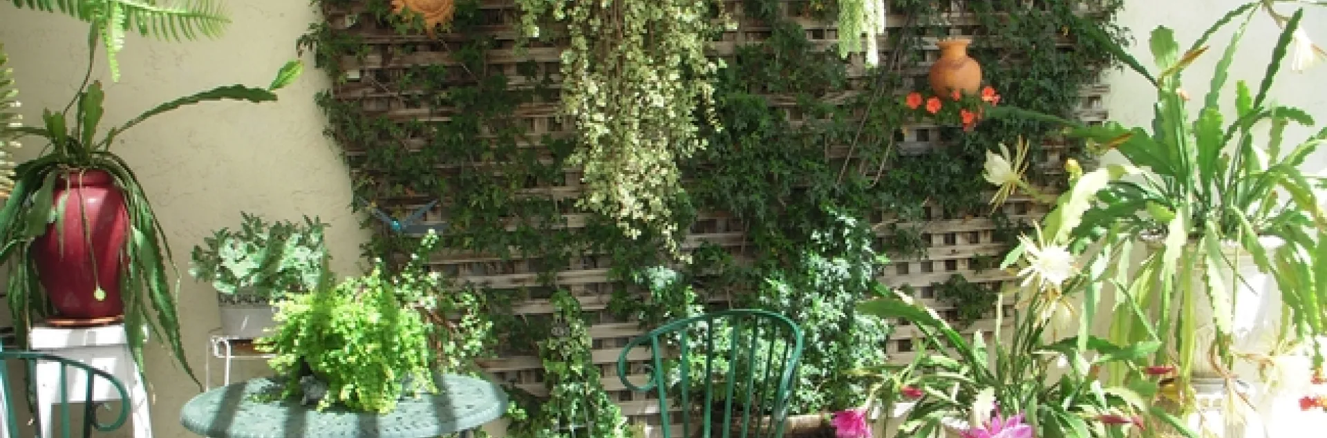 photos by Launa Herrmann