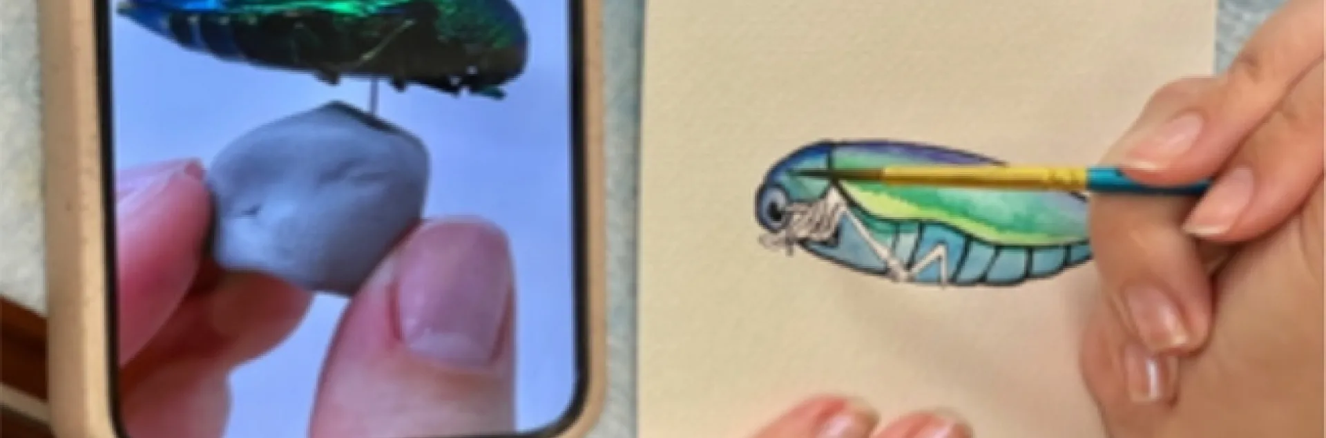 This is what art enthusiasts can expect to see when they attend the Entomology (ENT) 001 Art Show: "Insects in the Anthropocene," on Tuesday, Nov. 29 at UC Davis.