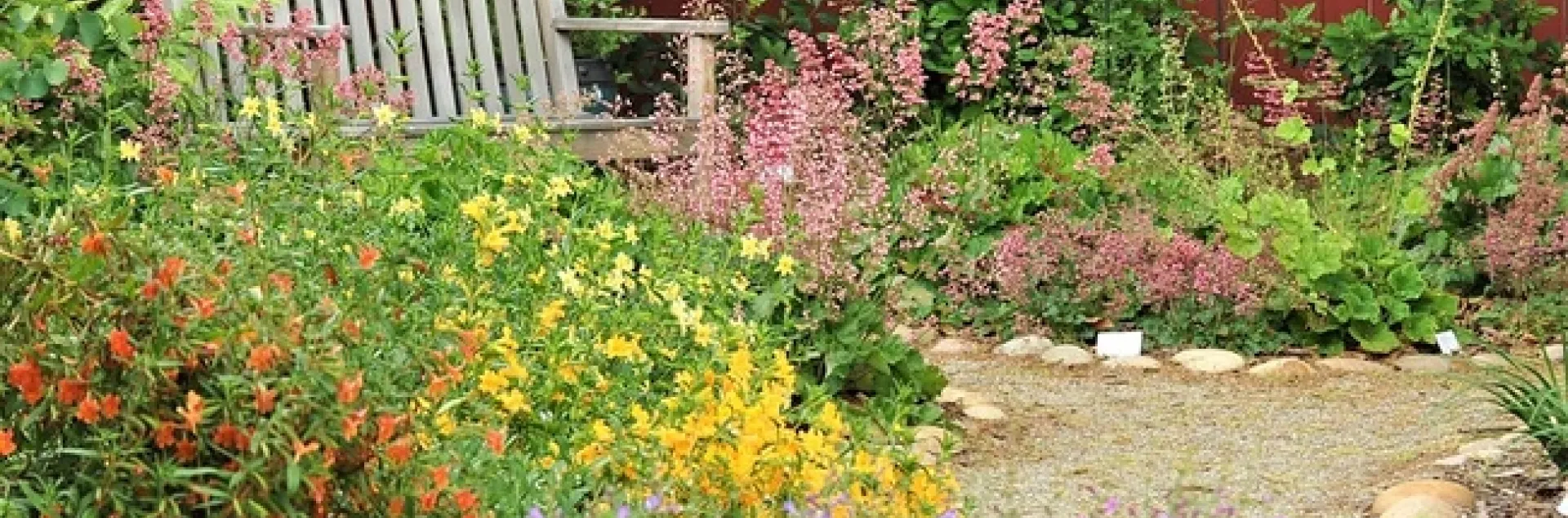 Bench lined with yellow, purple, pink and orange wildflowers.
