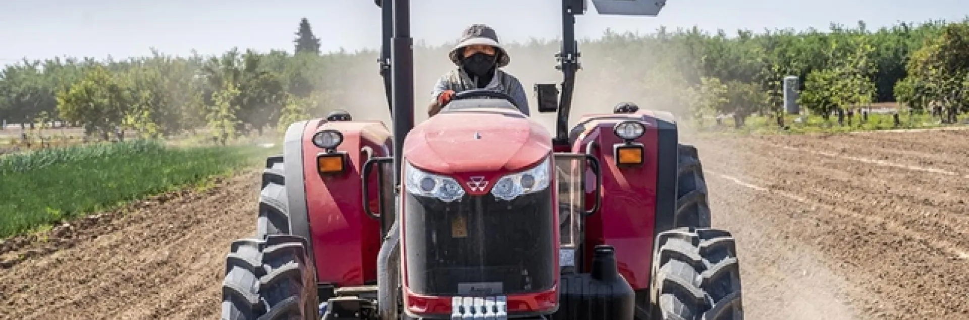 A farmer drives a red tractor toward the camera in the field