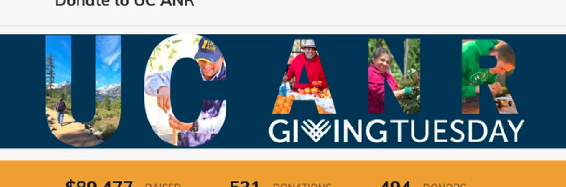 Donate to UC ANR GivingTuesday
RAISED: $89,477
DONATIONS: 531
DONORS: 494