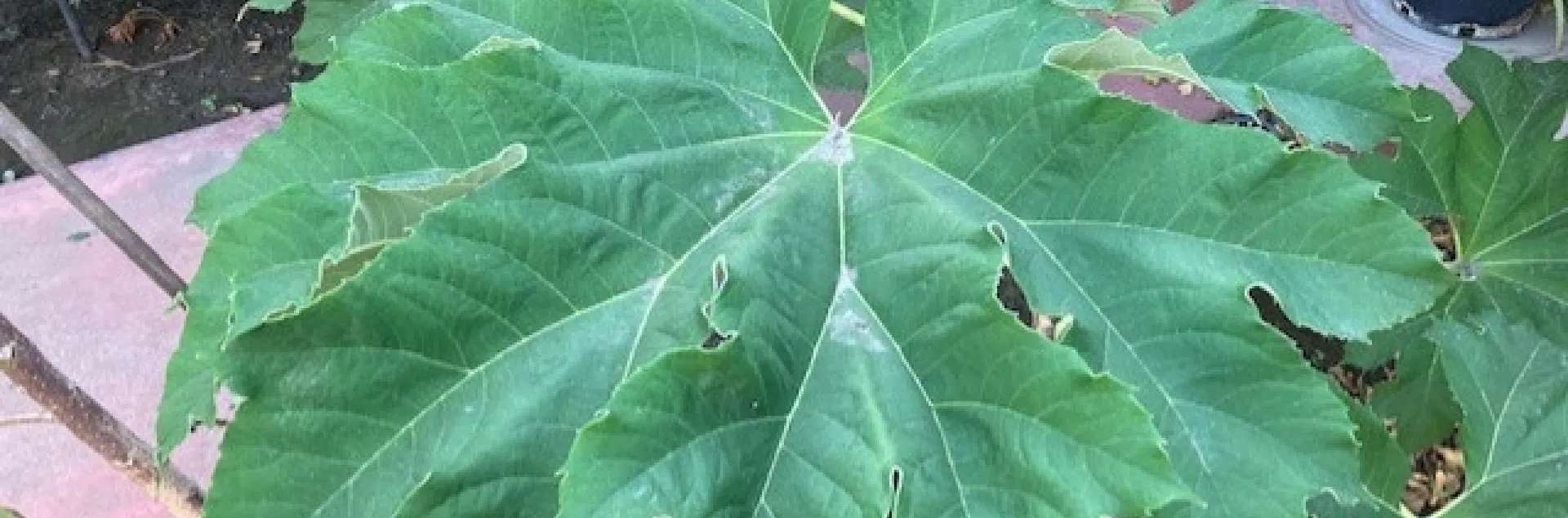 photos by Michelle Davis