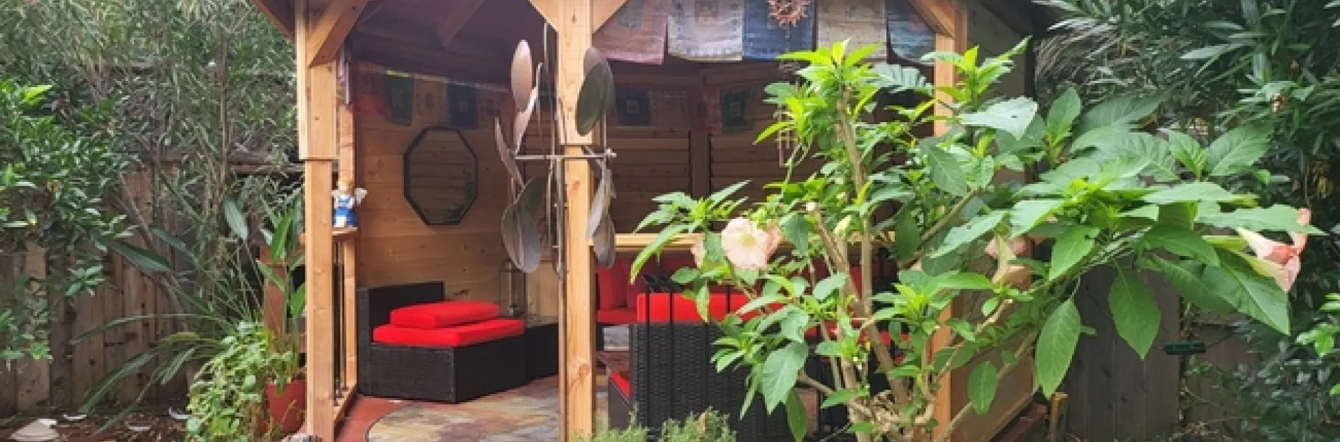 Brugmansia Shrub & Gazebo - photo by Paula Pashby