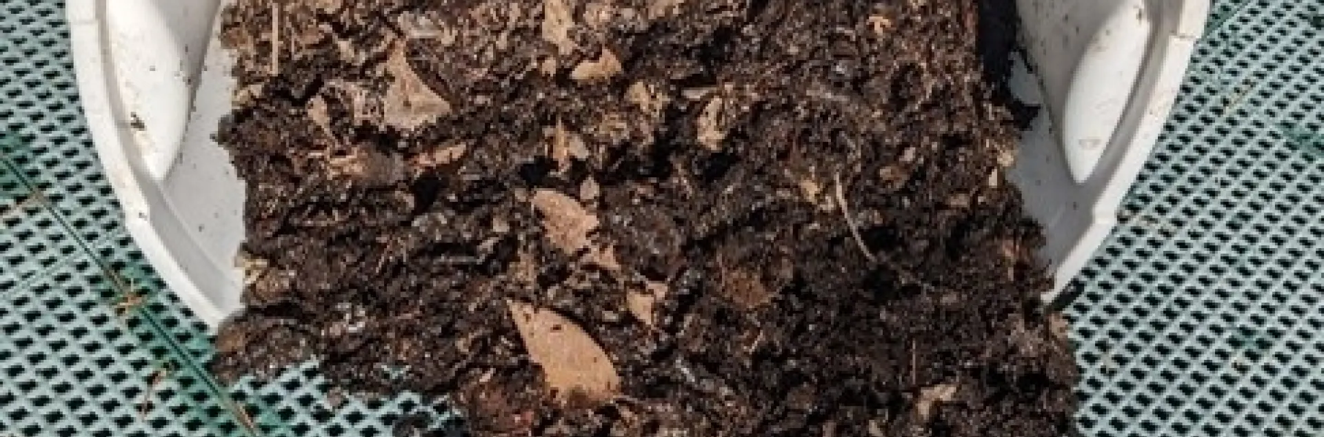 Compost