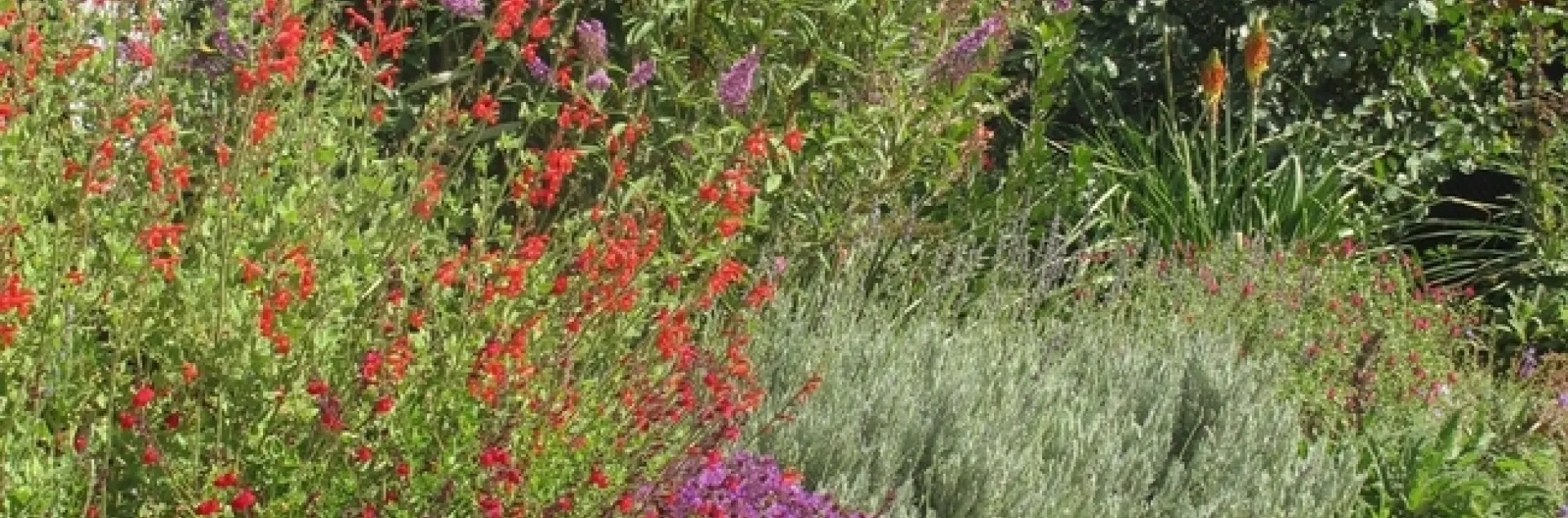 Plants of varying heights growing in a brick planter.