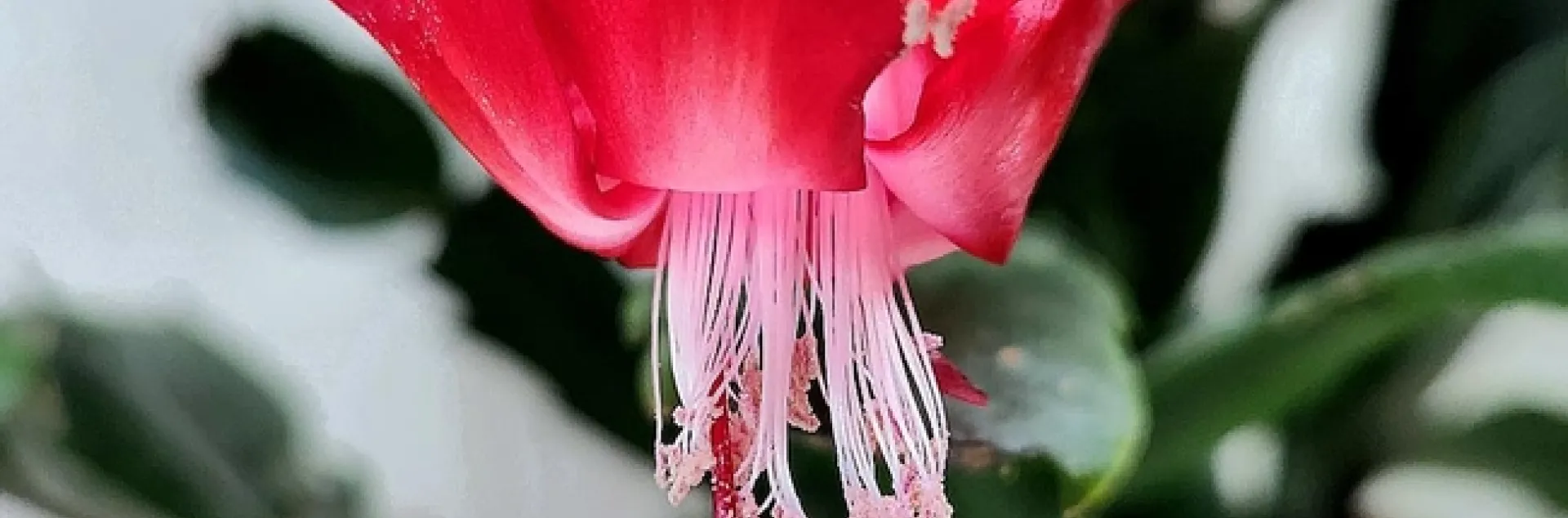 photos by Al Alvarado