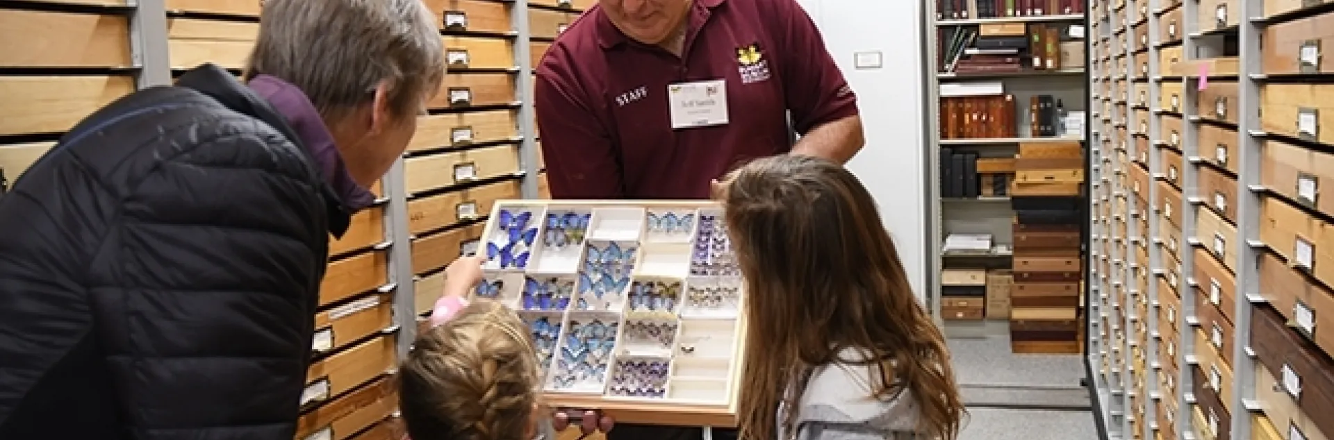 Entomologist Jeff Smith, curator of the Lepidoptera collection at the Bohart Museum, shows visitors some of the specimens. (Photo by Kathy Keatley Garvey)