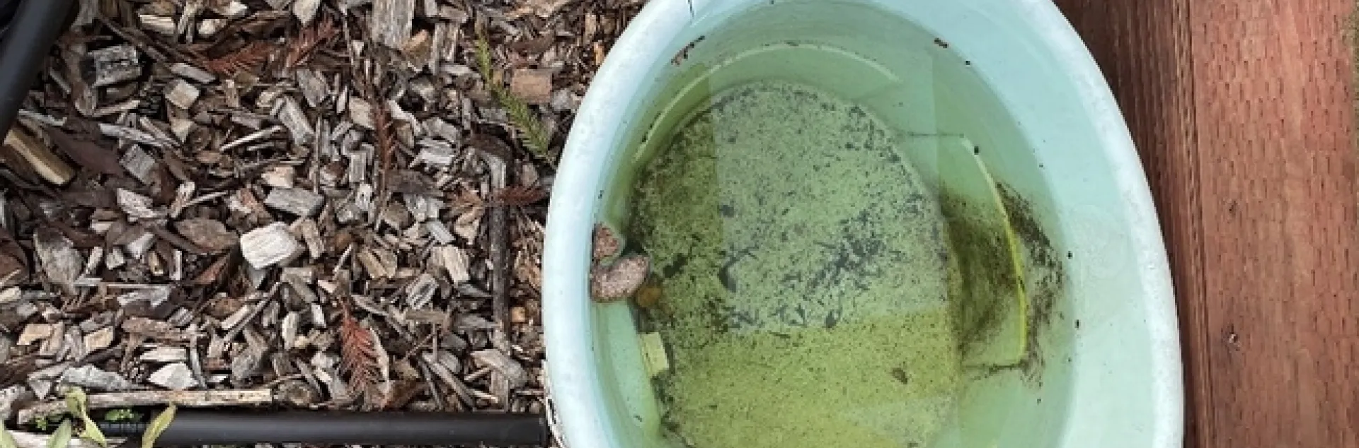 photos by Brenda Altman