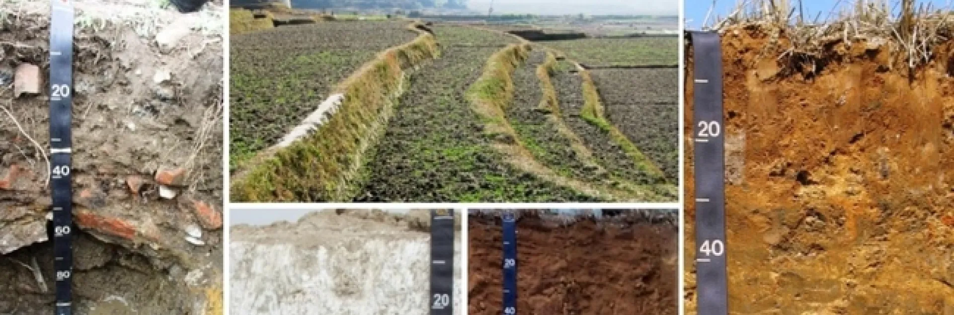 soil heading pictures