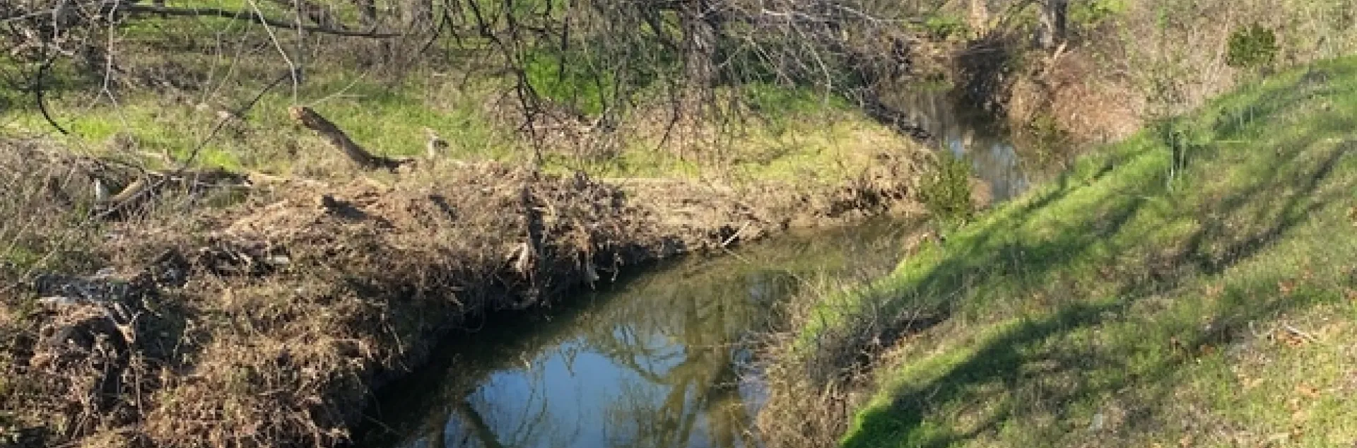 photo by Mike Gunther