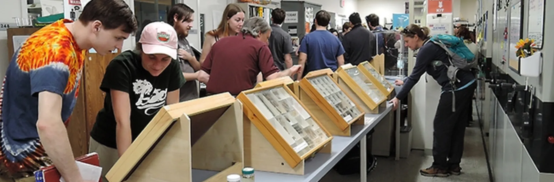 A scene from one of the UC Davis Biodiversity Museum Days at the Bohart Museum of Entomology. The 12th annual is Feb. 18. (Photo by Kathy Keatley Garvey)