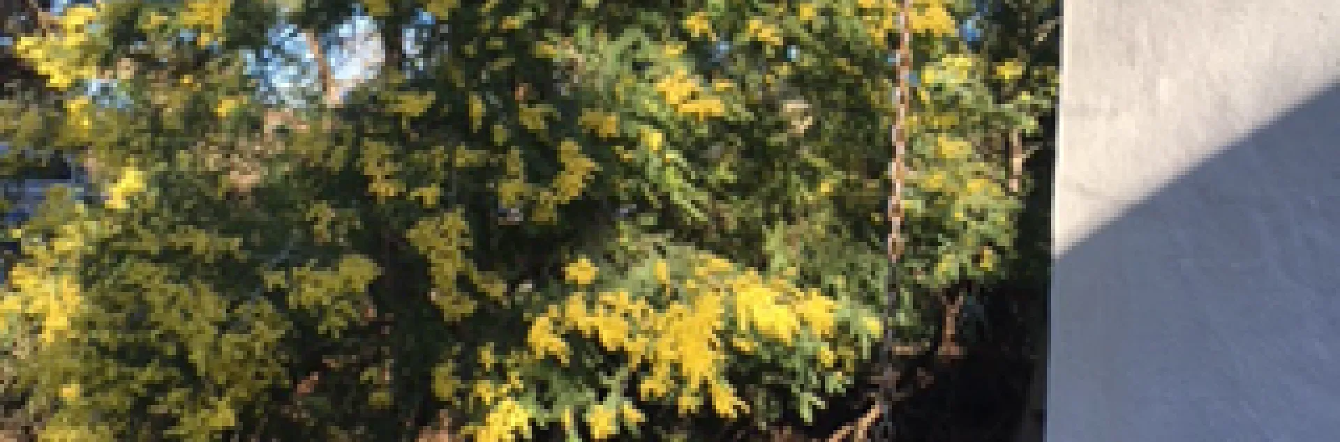 photos by Heather Hamilton