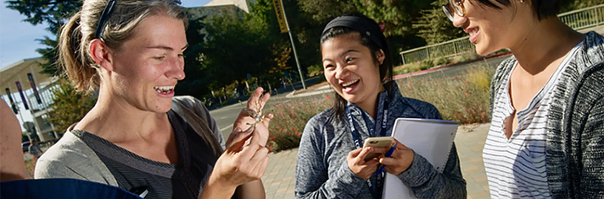 This image of community ecologist Rachel Vannette (left) appears on the home page of the UC Davis Department of Entomology and Nematology website.