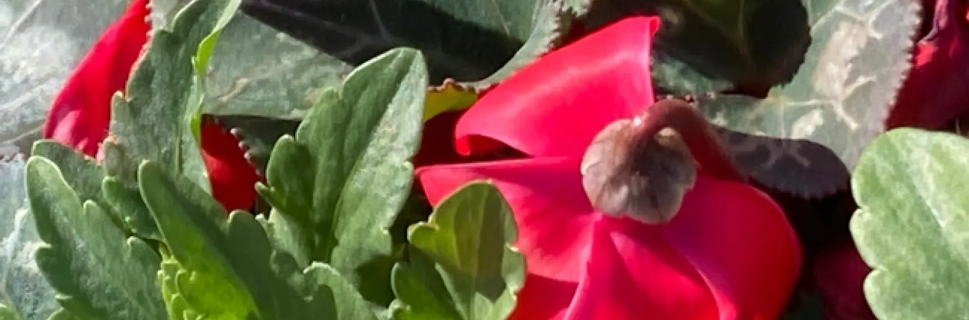 photos by Michelle Davis