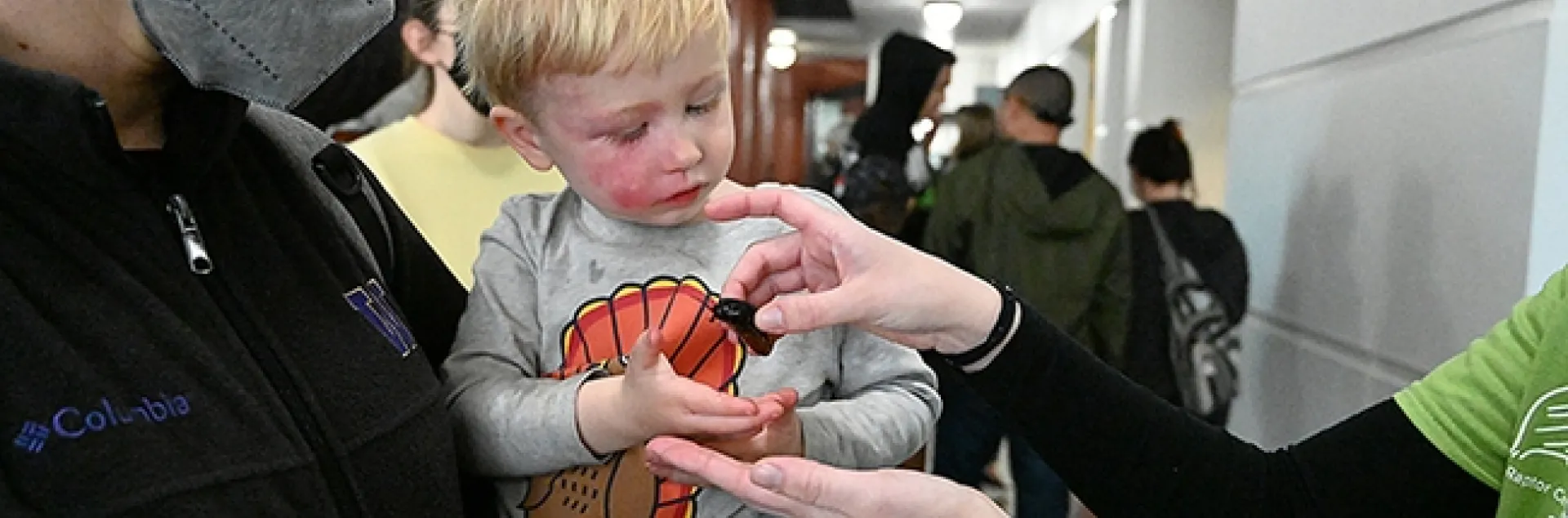 Finn Jensen, 2 1/2, awaits the placement of a Madagascar hissing cockroach in his hand. (Photo by Kathy Keatley Garvey)