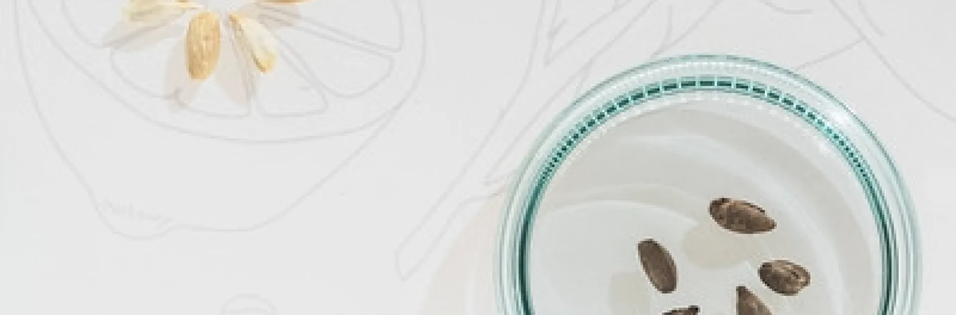 Roman-era lemon pips from a votive deposit in the Carcer Tullianum by diffendale is licensed under CC BY-NC-SA 2.0.