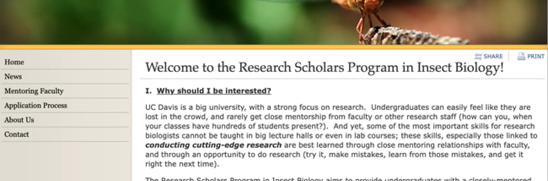 A screen shot of the UC Davis Research Scholars Program in Insect Biology website.
