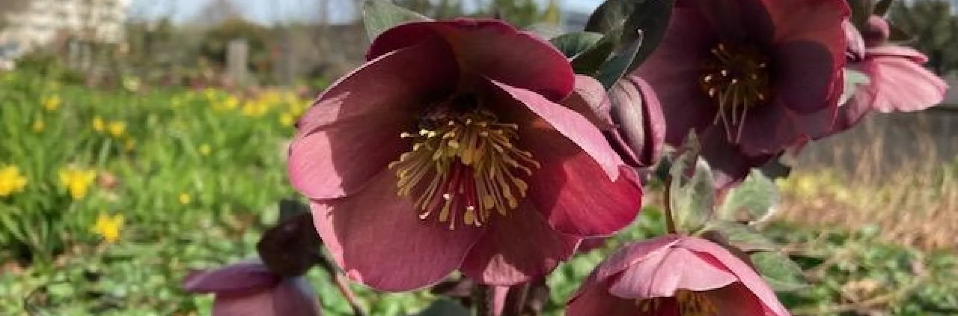 photo by Michelle Davis