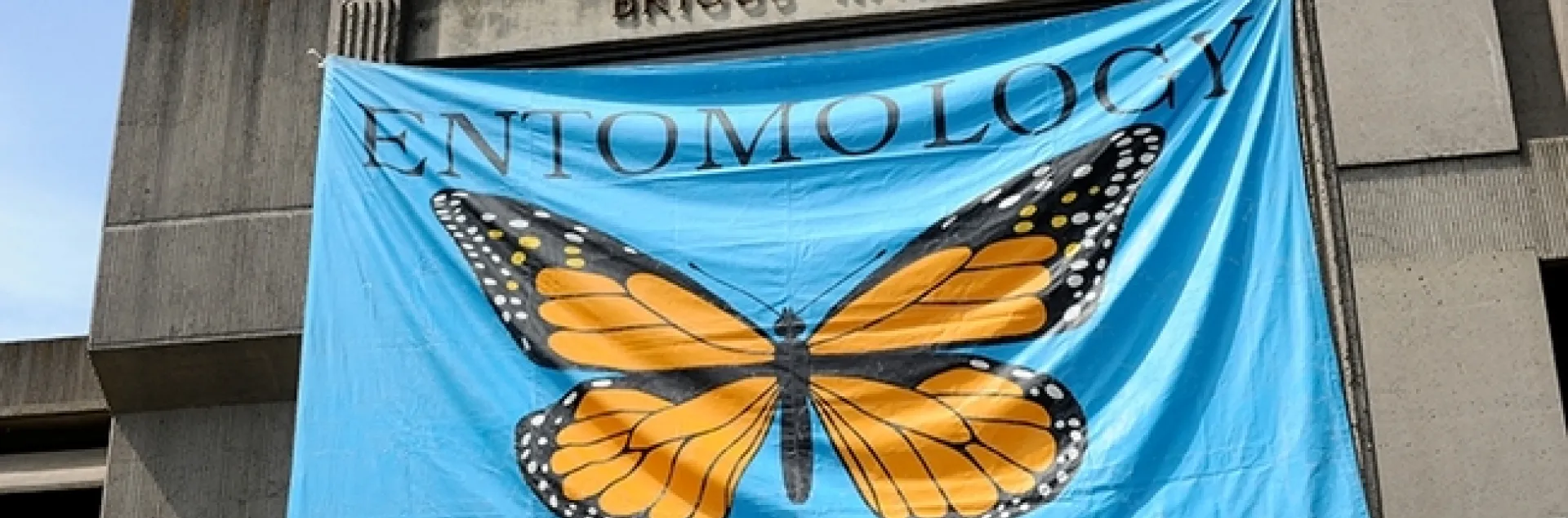 All in-person seminars hosted by the UC Davis Department of Entomology and Nematology will be held in Room 122 of Briggs Hall. (Photo by Kathy Keatley Garvey)