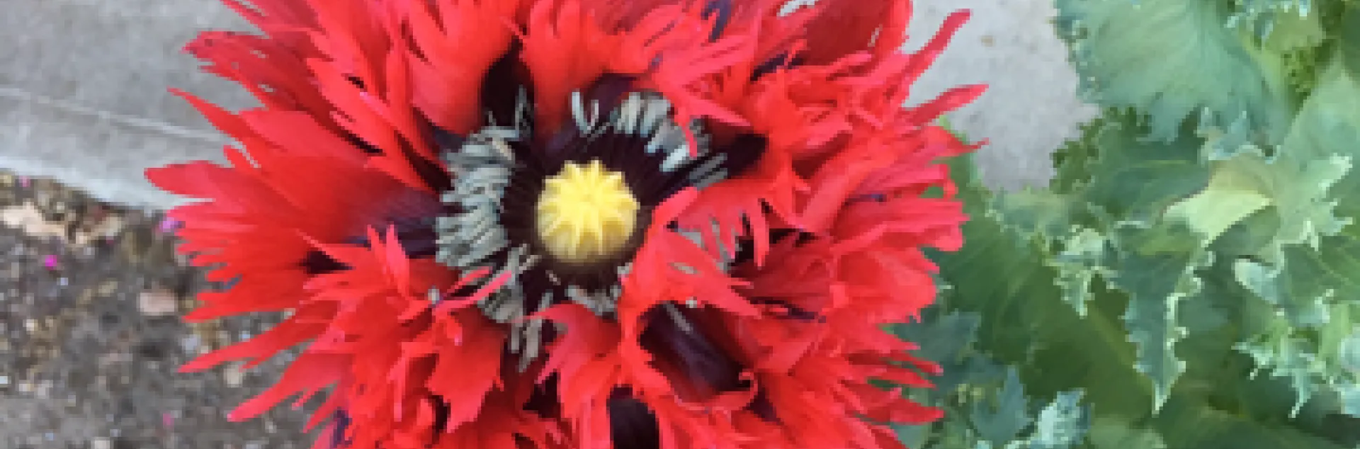 photos by Heather Hamilton