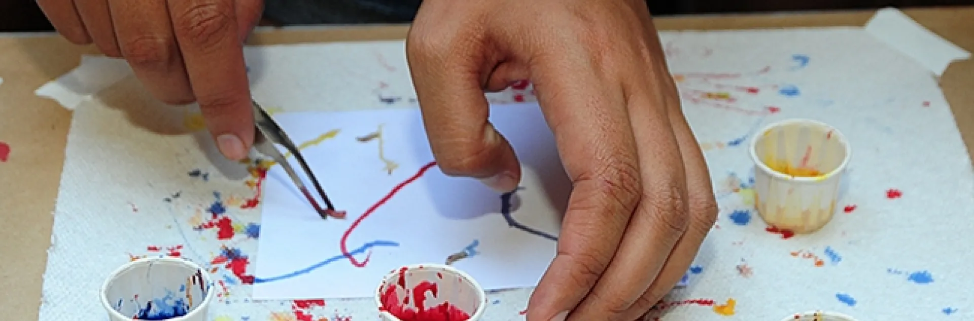 So many colors to choose from! A young artist working on his Maggot Art. (Photo by Kathy Keatley Garvey)