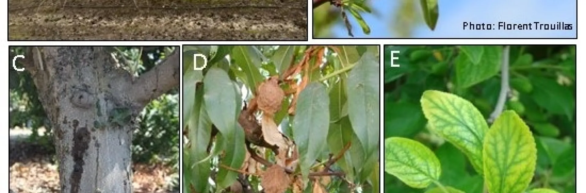 Flood and Rain Article April 2023b