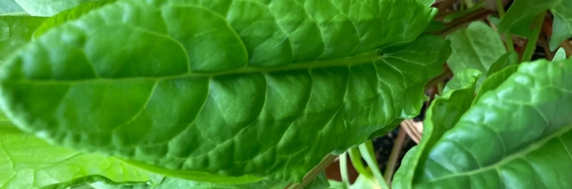 photos by Michelle Davis