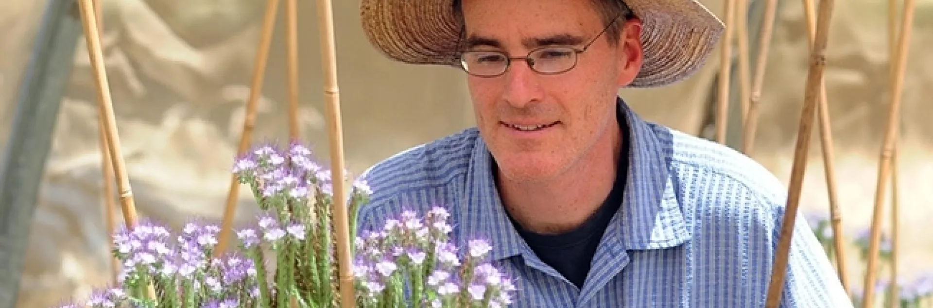 Pollination ecologist and professor Neal Williams, UC Davis Department of Entomology and Nematology, will speak on "Native Bees and their Conservation"at 10:30 a.m., May 6 on the UC Davis Speakers' Stage at the California Honey Festival. (Photo by Kathy Keatley Garvey)