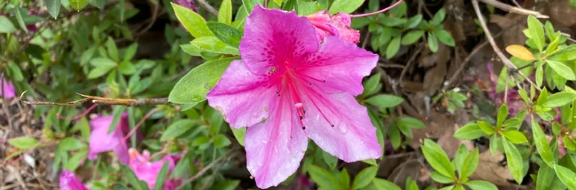 photos by Michelle Davis