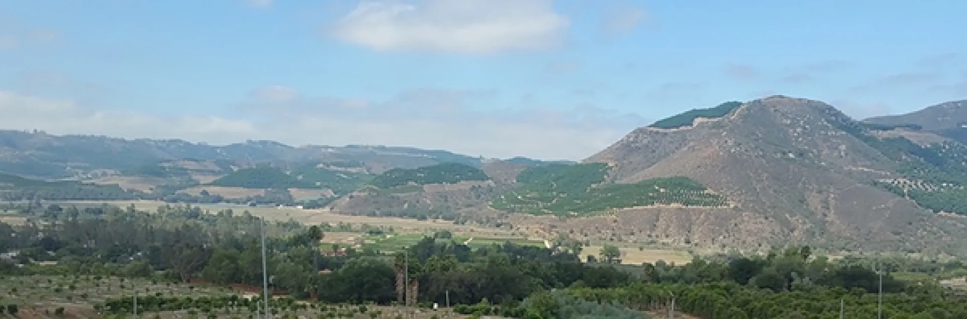 CAAS 2023 Flyer (Final)