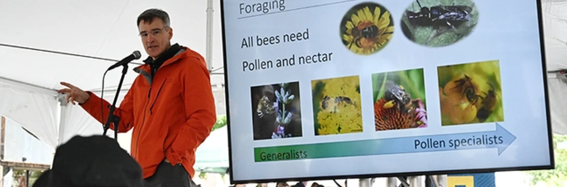 Pollination ecologist Neal Williams, professor, UC Davis Department of Entomology and Nematology, talks about the importance of native bees. (Photo by Kathy Keatley Garvey)
