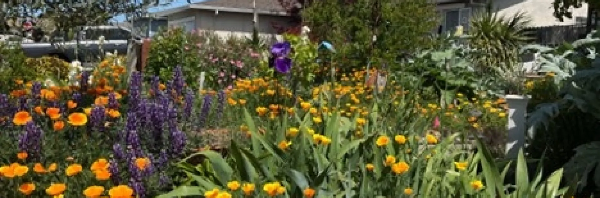 photos by Tina Saravia